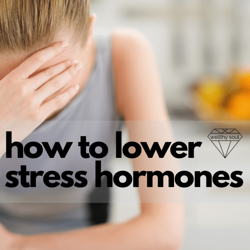 how-to-lower-your-stress-hormones-through-fitness-wellthy-soul